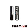 SENSOR FOTOELECTRICO DE 4 RAYOS DE LUZ PAAMON PM-BEAM250 DISTANCIA DE 250 METROS EN EXTERIORES SALIDA DE ALARMA NO Y NC COMPATI
